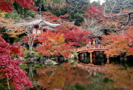 Japan_Autumn_2025 (25/47)
